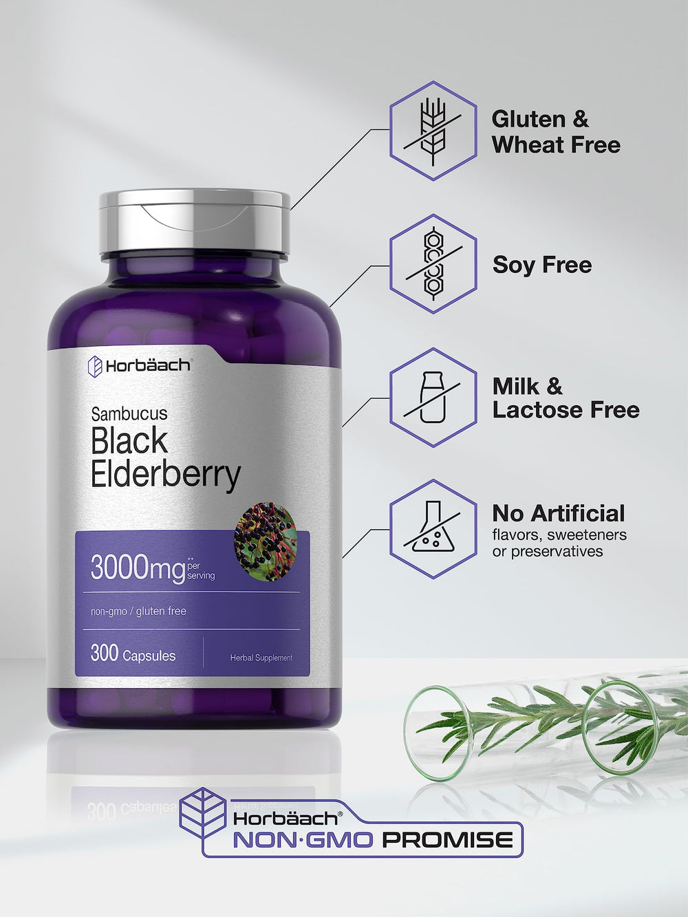 Horbäach elderberry extract powder image indicates premium quality