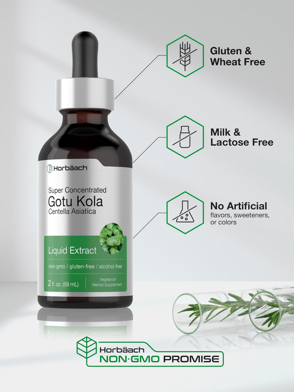 Gluten-free Horbäach Gotu Kola supports dietary needs