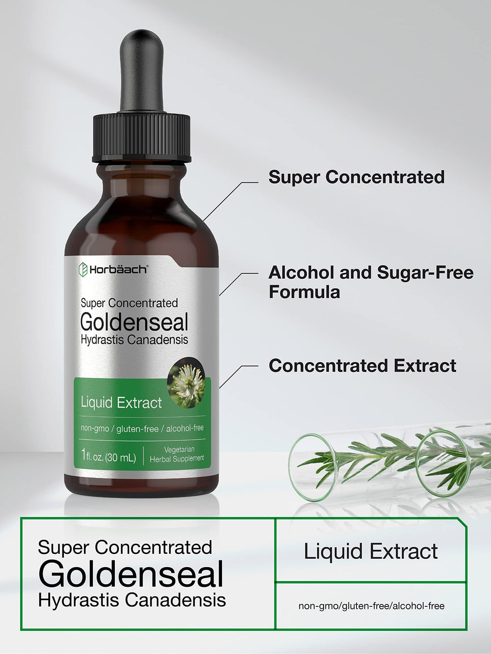 Horbaach Goldenseal tincture pour into glass shows easy daily dosage option.