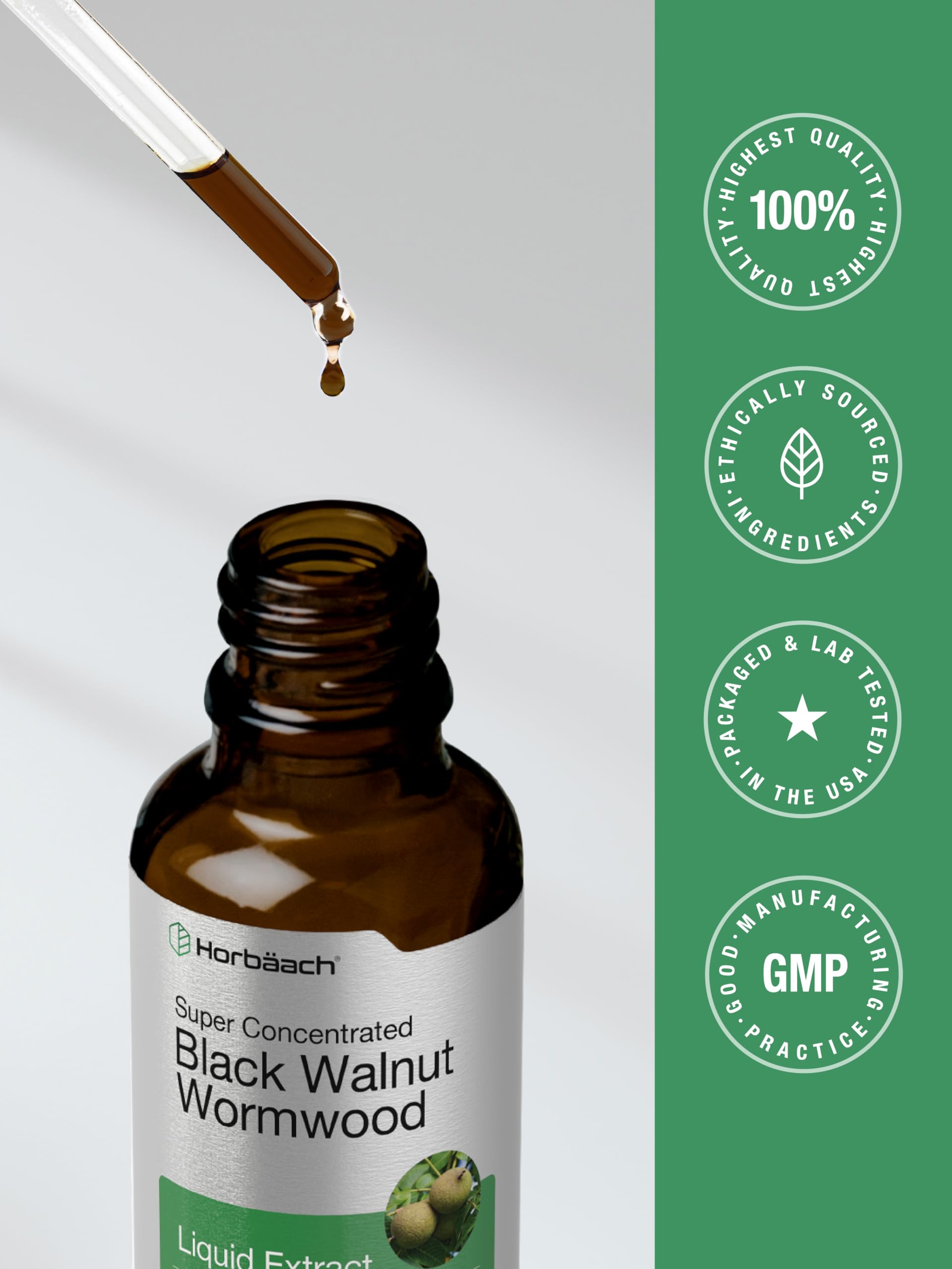 Illustration suggests gut flora balance with Horbaach tincture.
