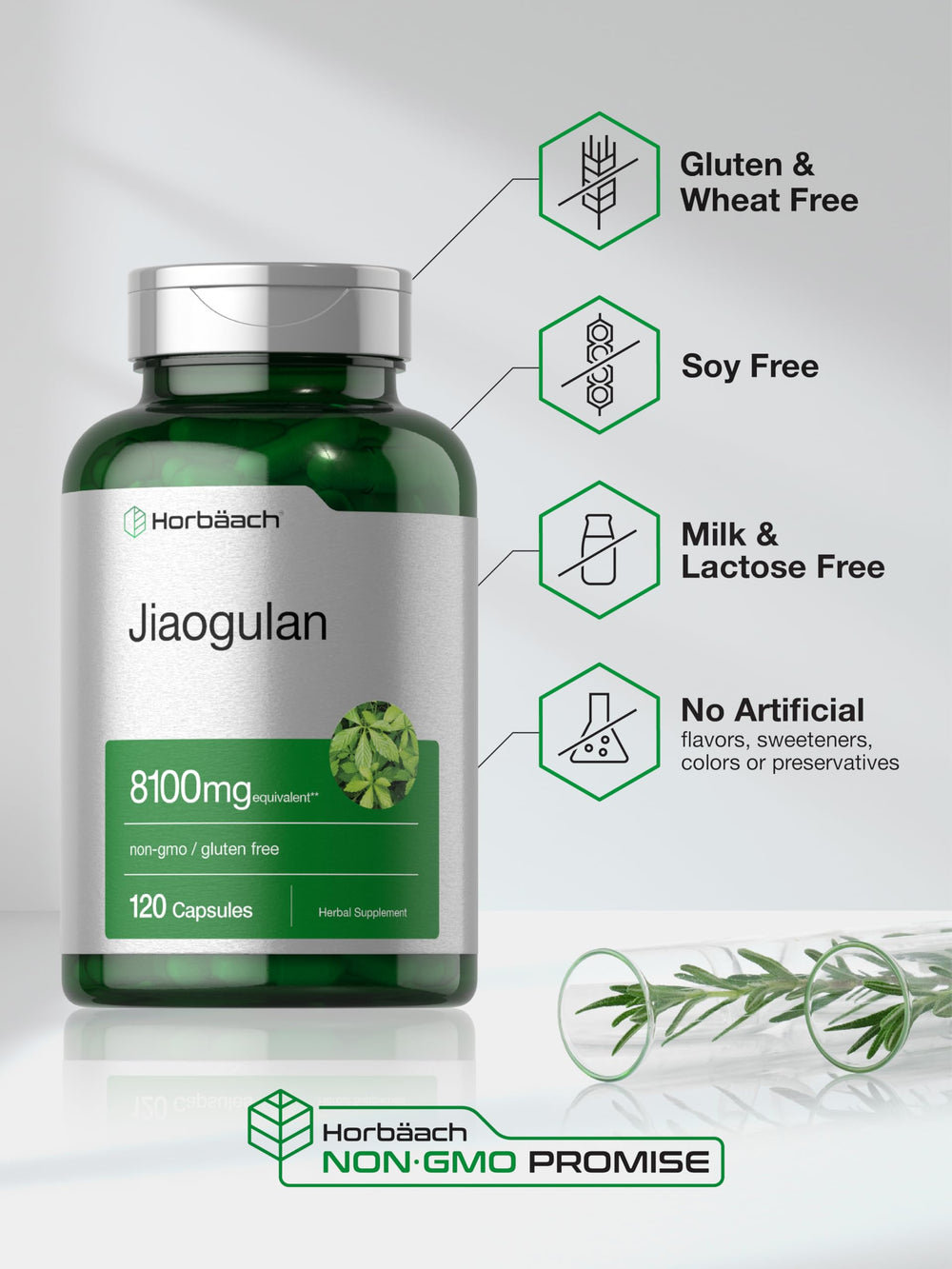 Horbäach Jiaogulan quick-release capsules for convenient use.