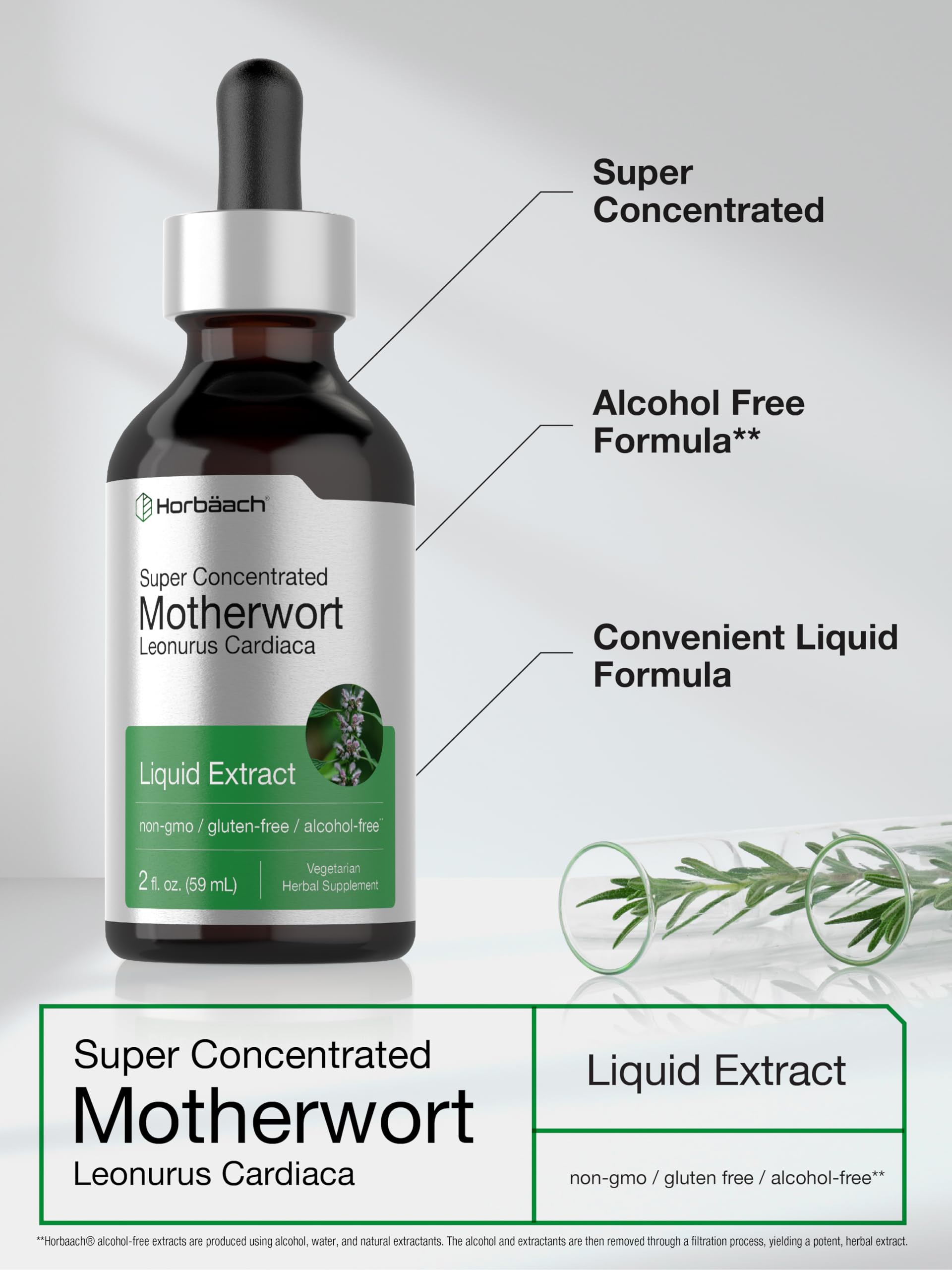 Horbaach leonurus cardiaca leaves for herbal preparation