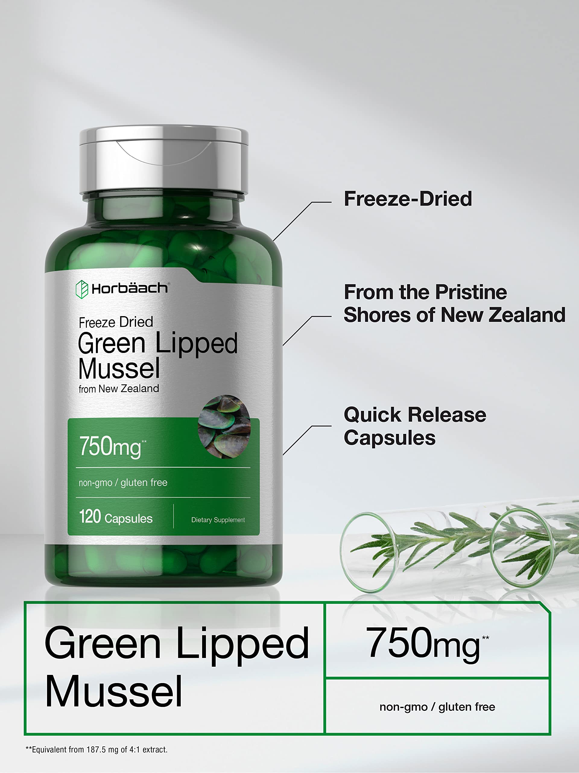 Mejillón Verde de Nueva Zelanda Horbäach, fuente natural de nutrientes.