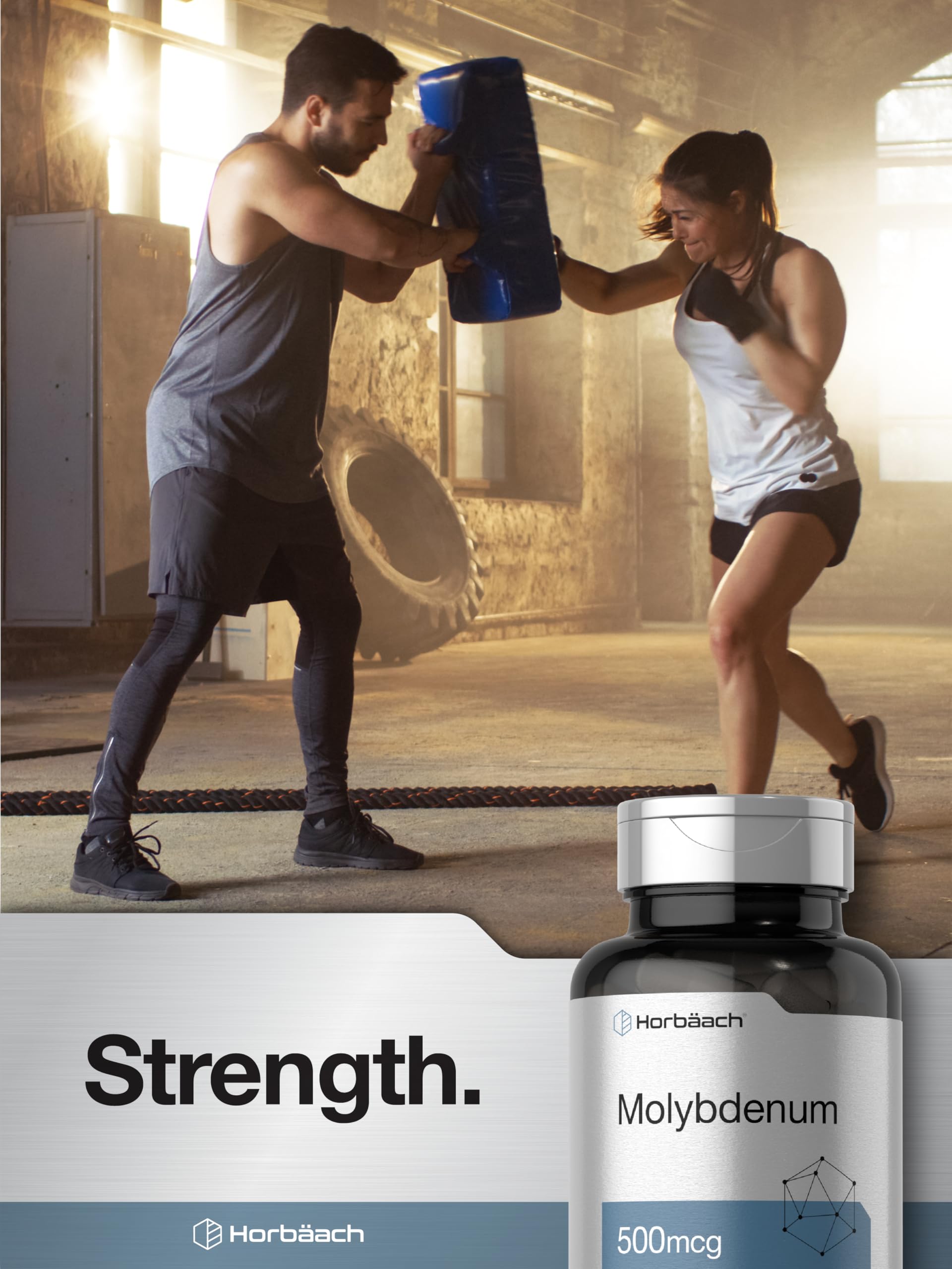 Packaging and components layout demonstrates value and storage convenience