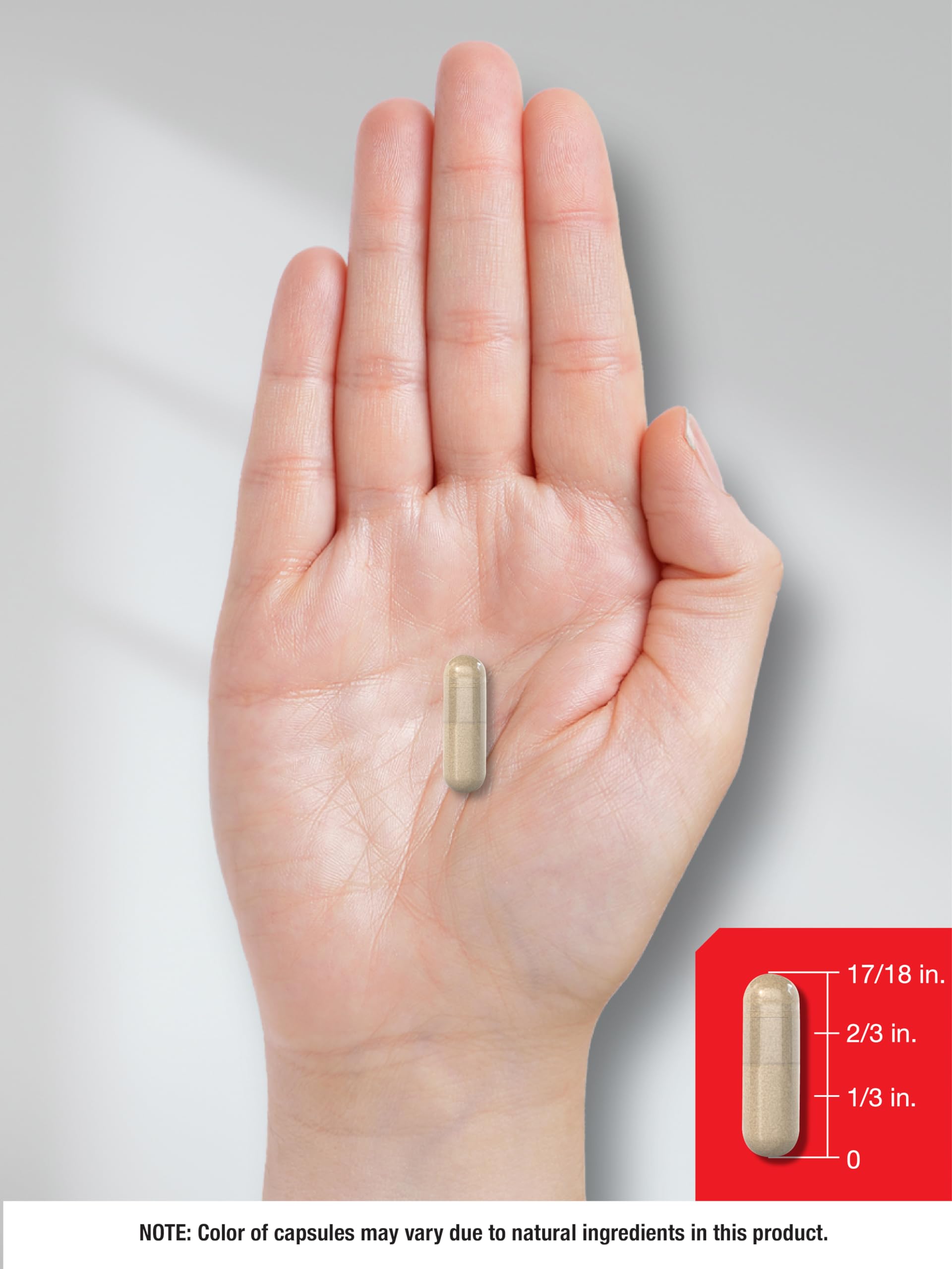 Horbaach Prostate Supplement bottle with supplement facts panel for ingredient transparency