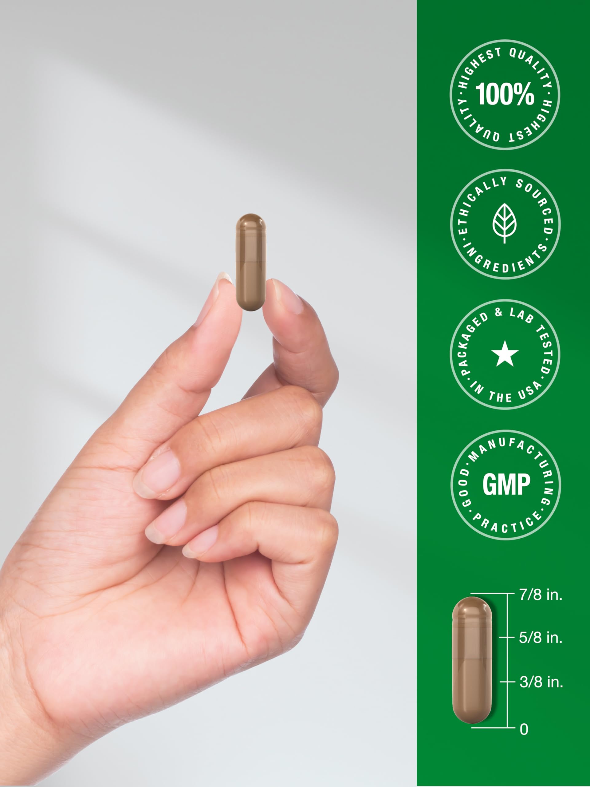 Horbäach Reishi capsules being poured signals easy daily dosing