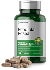 Horbäach Rhodiola Rosea capsules bottle for convenient daily use and potential energy support