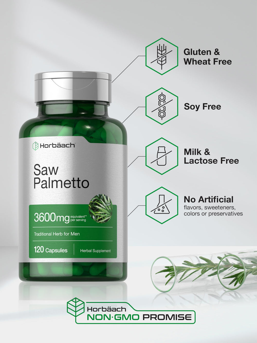 Horbaach Saw Palmetto ingredients panel notes plant sterols and fatty acids.