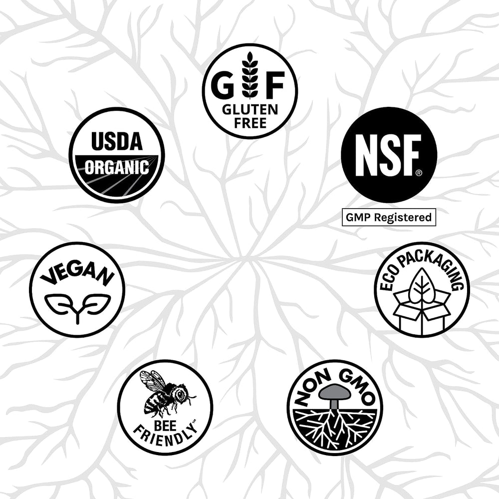 Host Defense Brain & Body Powder gluten-free badge visible on packaging.