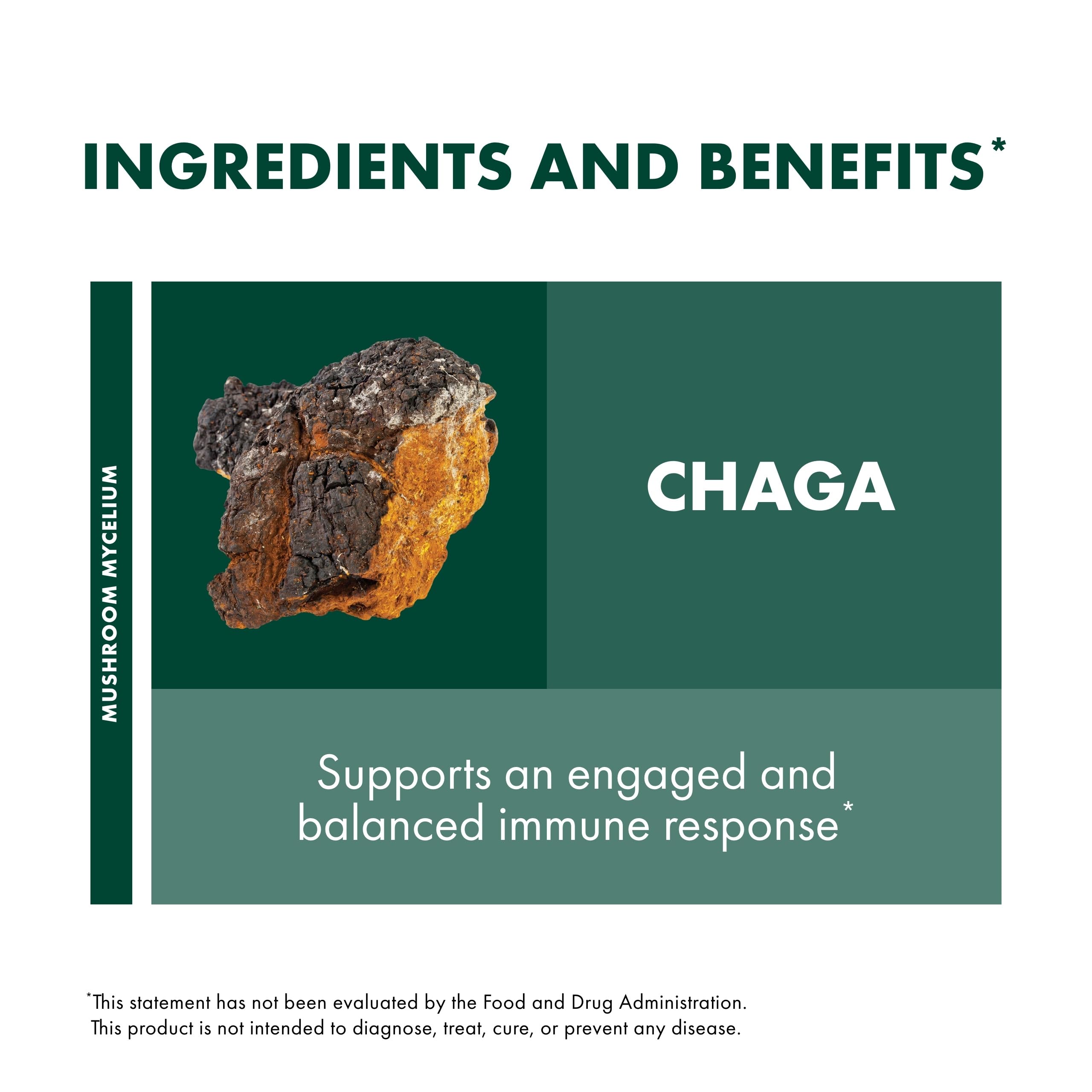 Organic label on Host Defense Chaga capsules bottle.