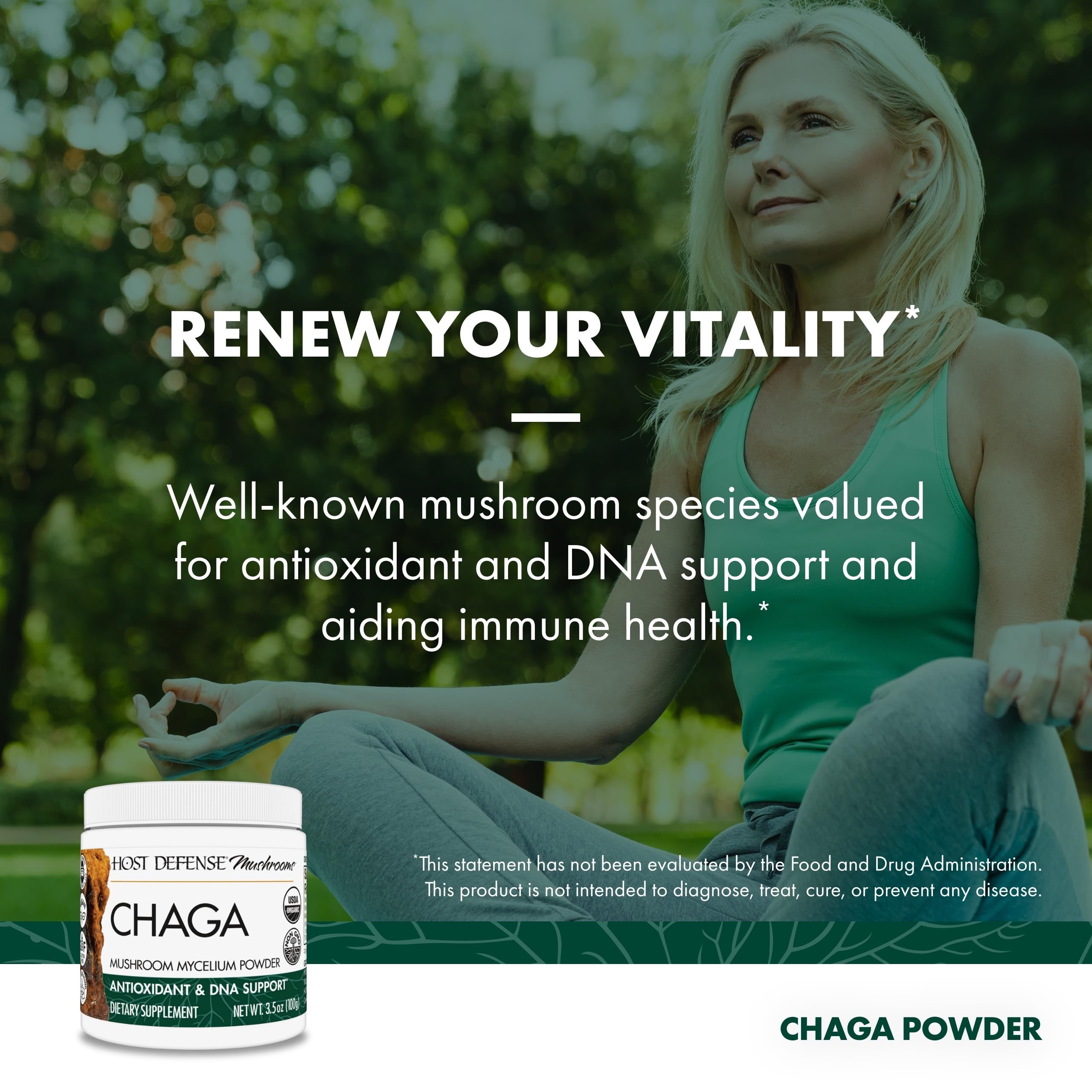 Host Defense Chaga Powder glass jar displayed on a counter for everyday use.