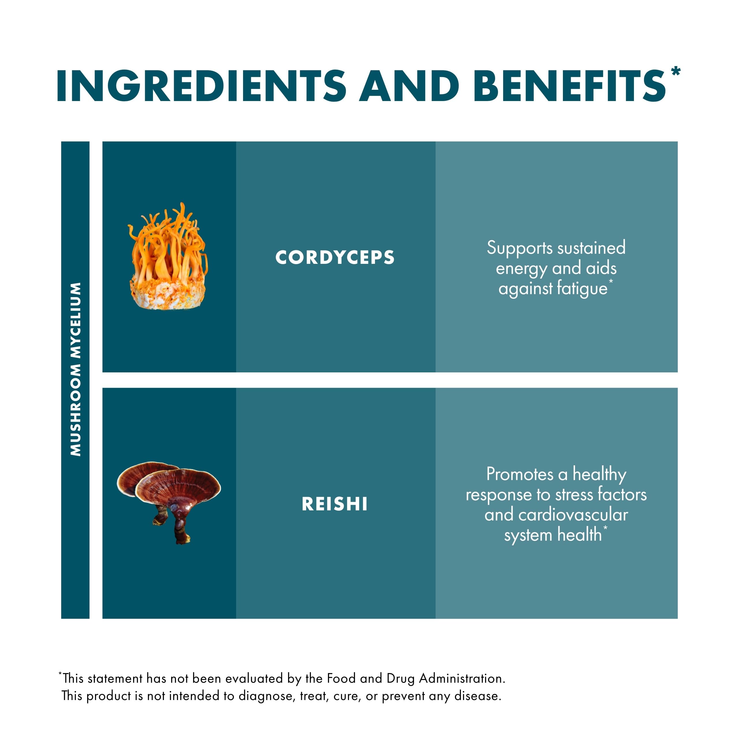 Host Defense CordyChi mushrooms illustration highlighting cordyceps and reishi benefits.