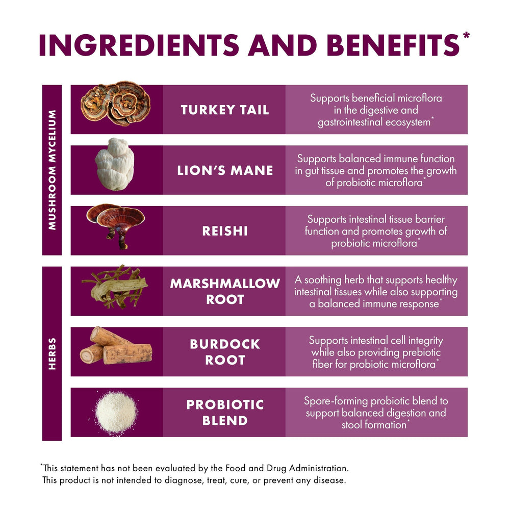 Host Defense Lion's Mane focus suggests cognitive support potential.
