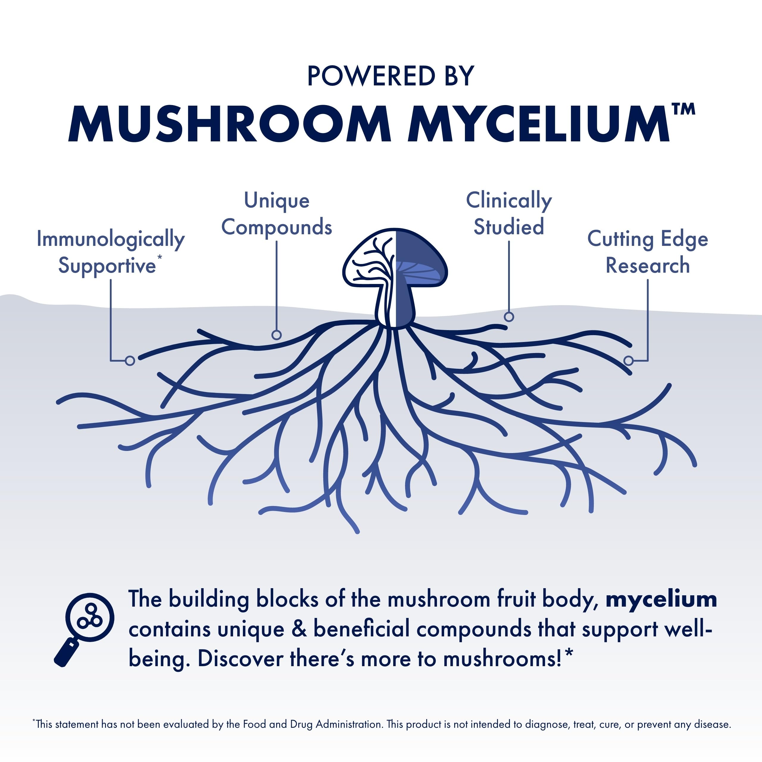 Mushroom blend image featuring Turkey Tail and Reishi for respiratory support.