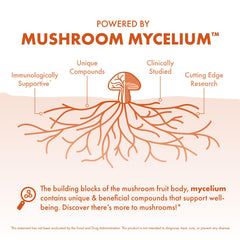 Mushroom mycelium on organic brown rice substrate used in capsules
