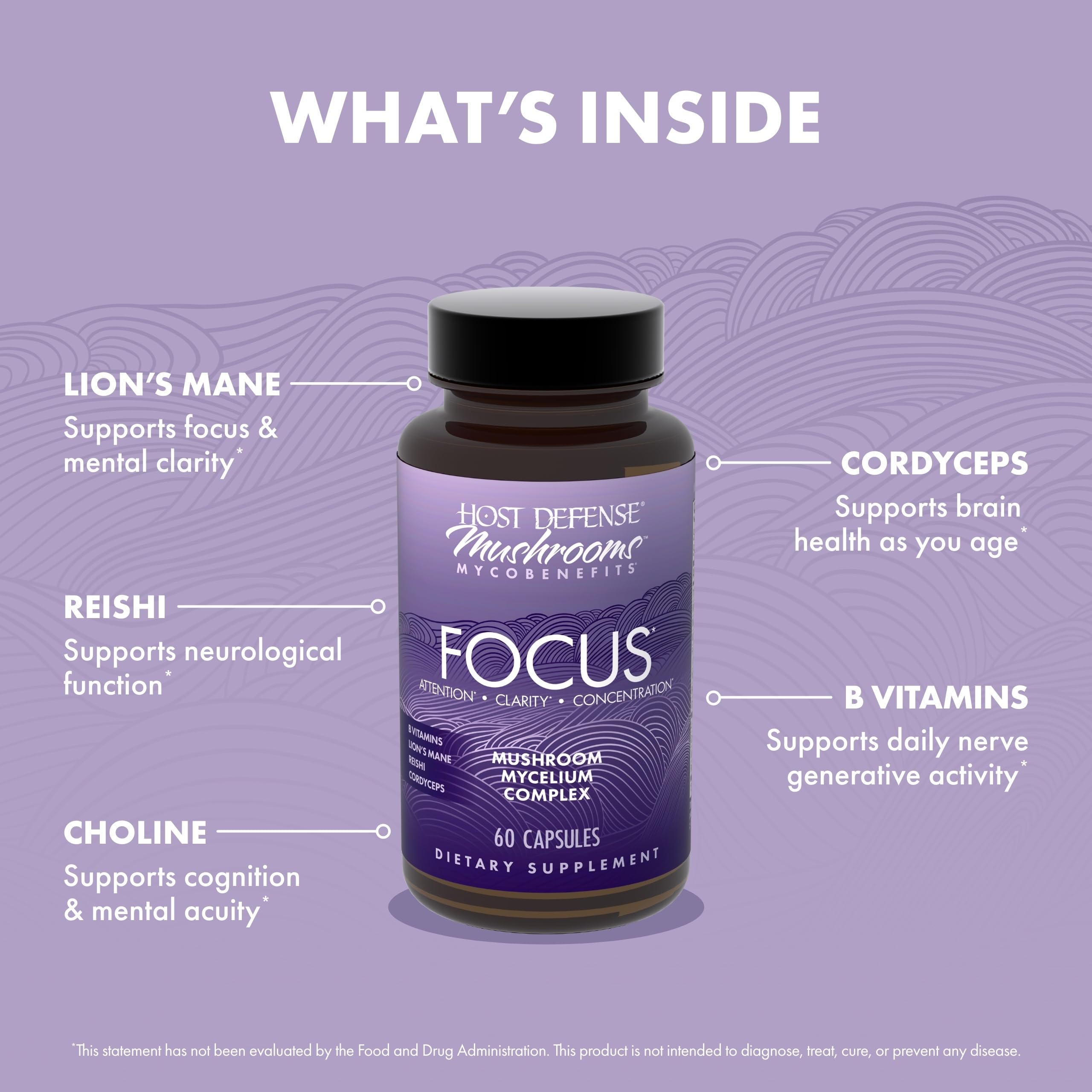Host Defense MycoBenefits B vitamins label emphasizes nutrient-rich formula.