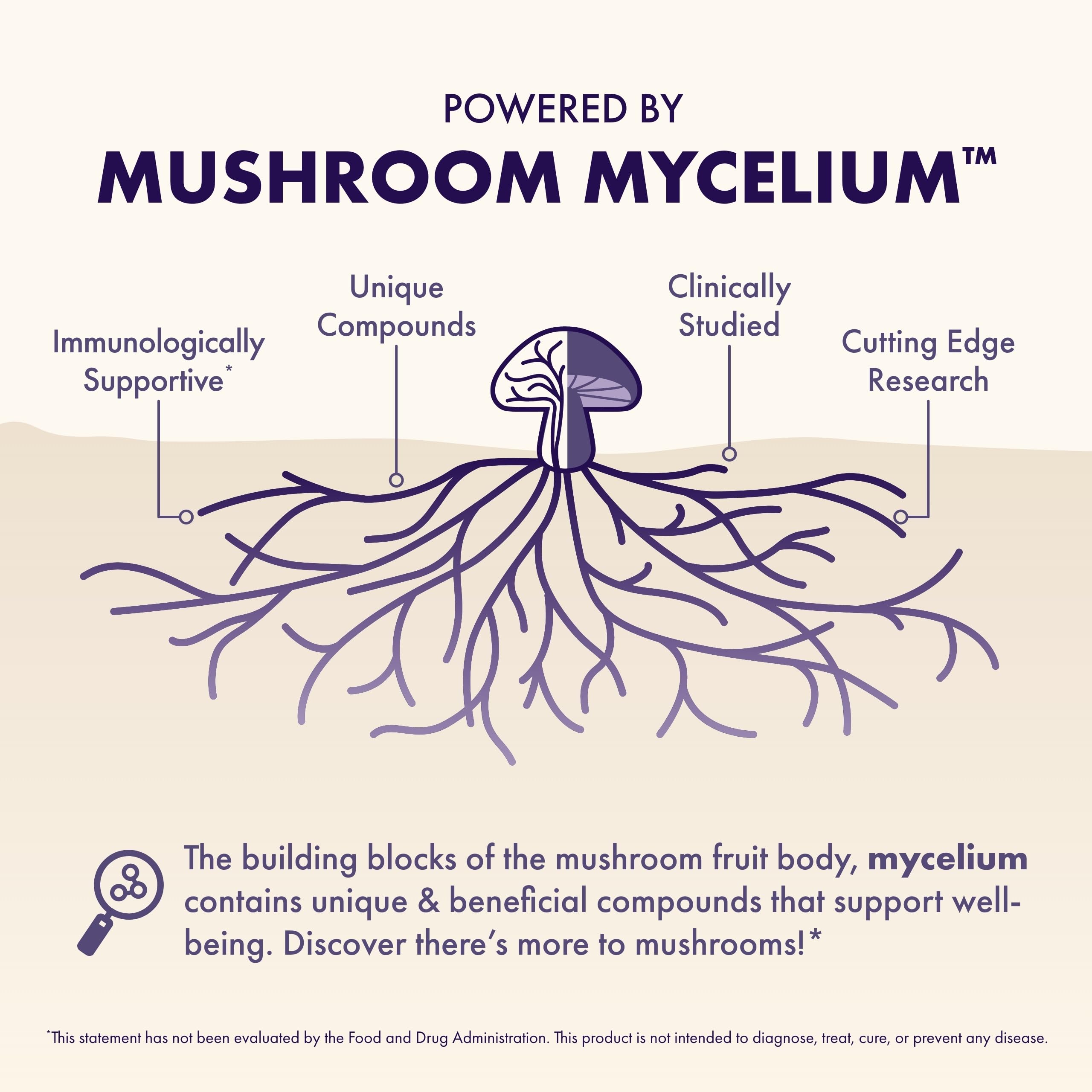 Host Defense MycoBenefits Lions Mane visual for focused attention support.