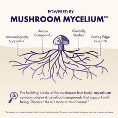 Host Defense MycoBenefits Lions Mane visual for focused attention support.