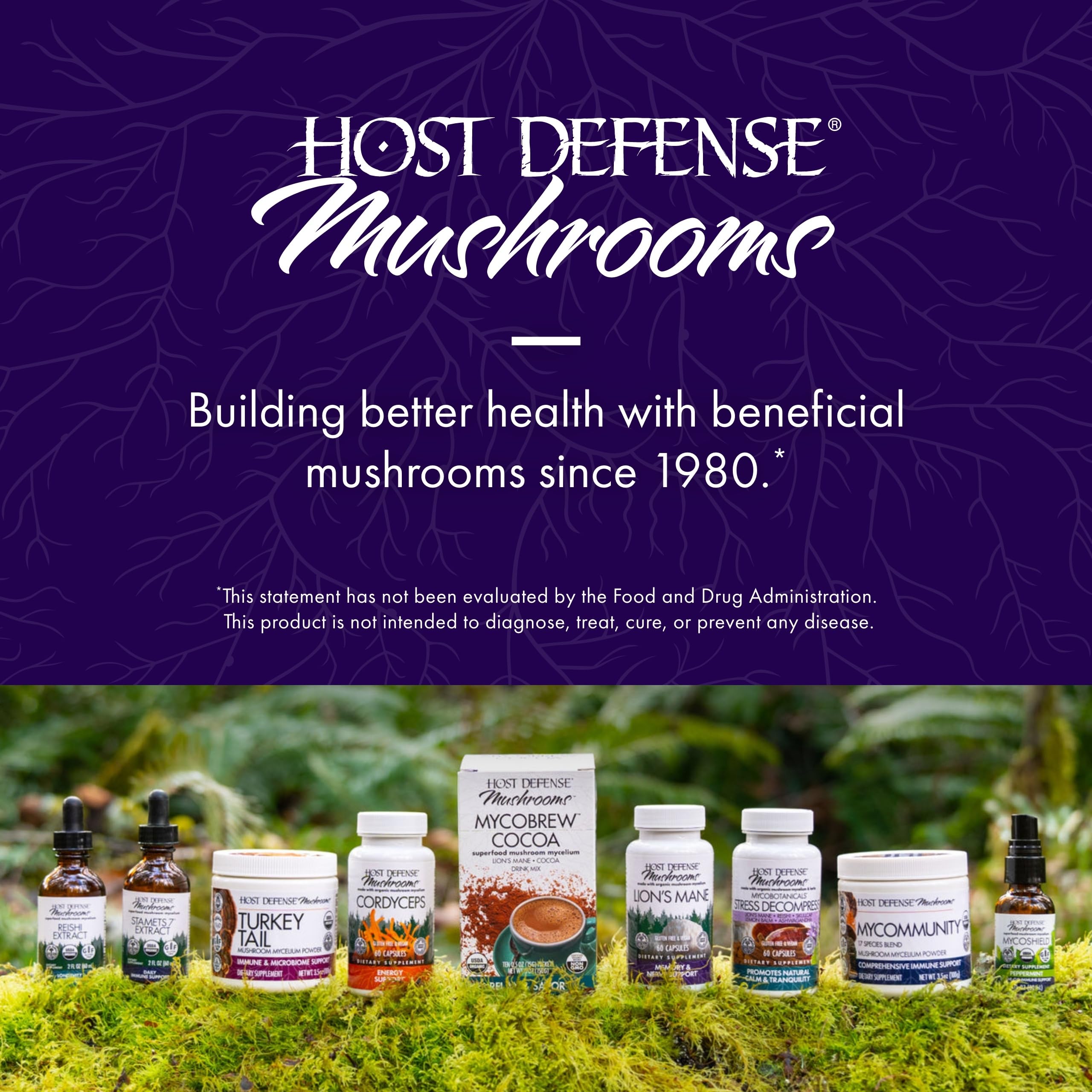 Host Defense MycoBotanicals Brain ingredients scene highlighting mushrooms for brain support.