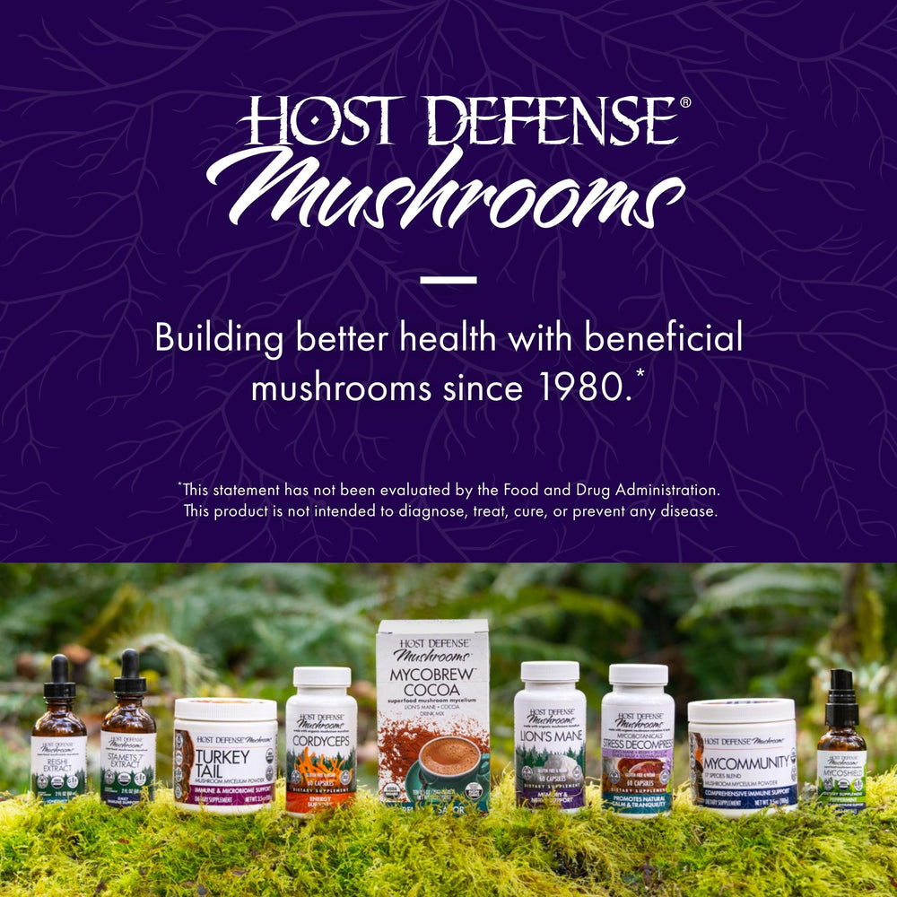 Host Defense MycoBotanicals Brain ingredients scene highlighting mushrooms for brain support.