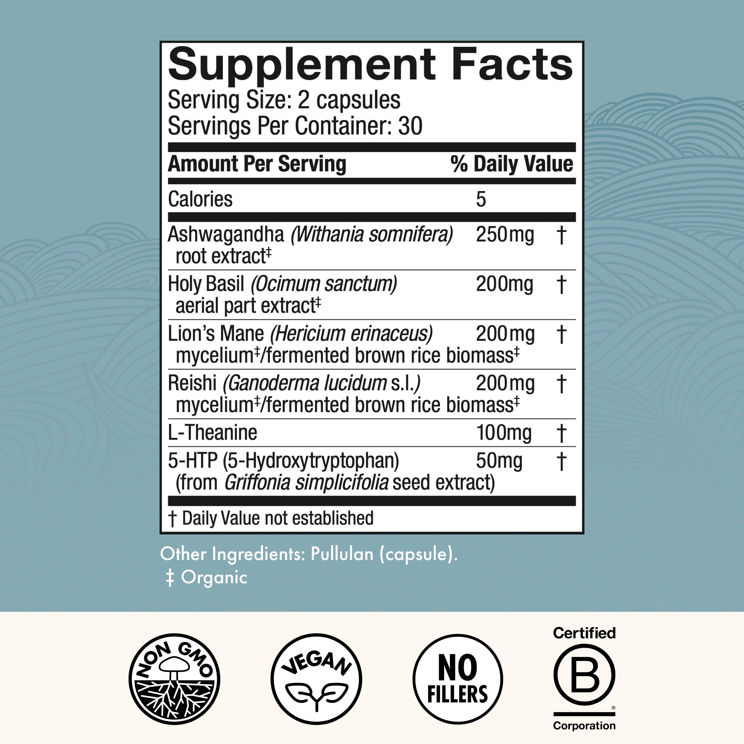 Host Defense MycoBenefits Mood capsules closeup highlights Lion’s Mane and L-Theanine benefits.