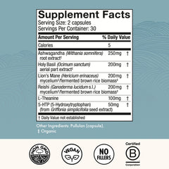 Host Defense MycoBenefits Mood capsules closeup highlights Lion’s Mane and L-Theanine benefits.