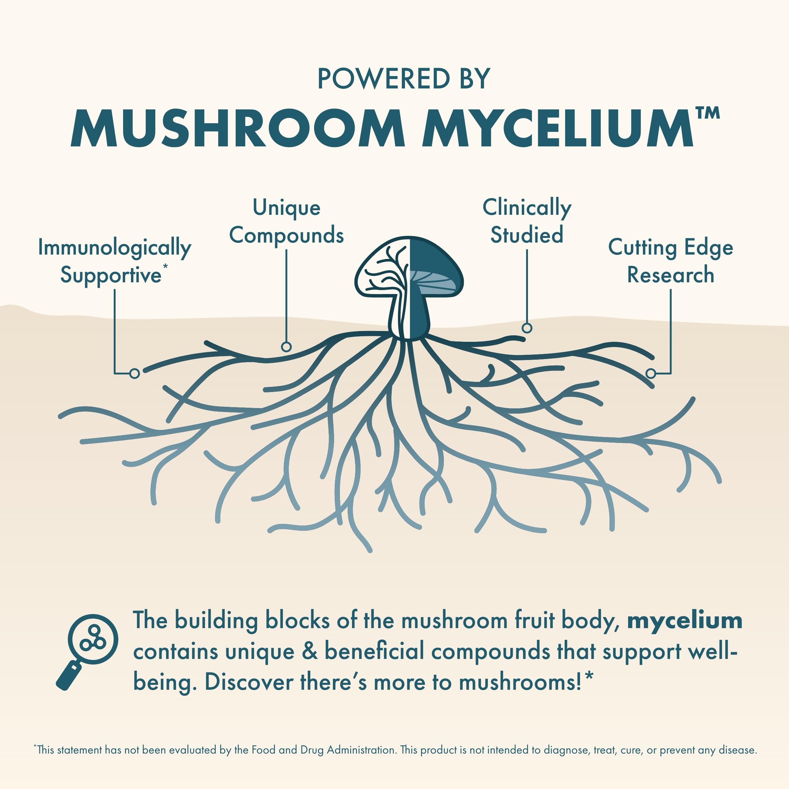 Host Defense MycoBenefits Mood ingredients blend features Reishi and Ashwagandha for balanced mood.