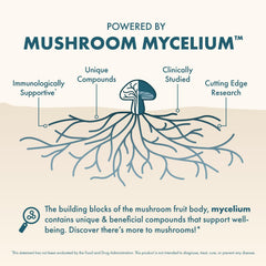 Host Defense MycoBenefits Mood ingredients blend features Reishi and Ashwagandha for balanced mood.