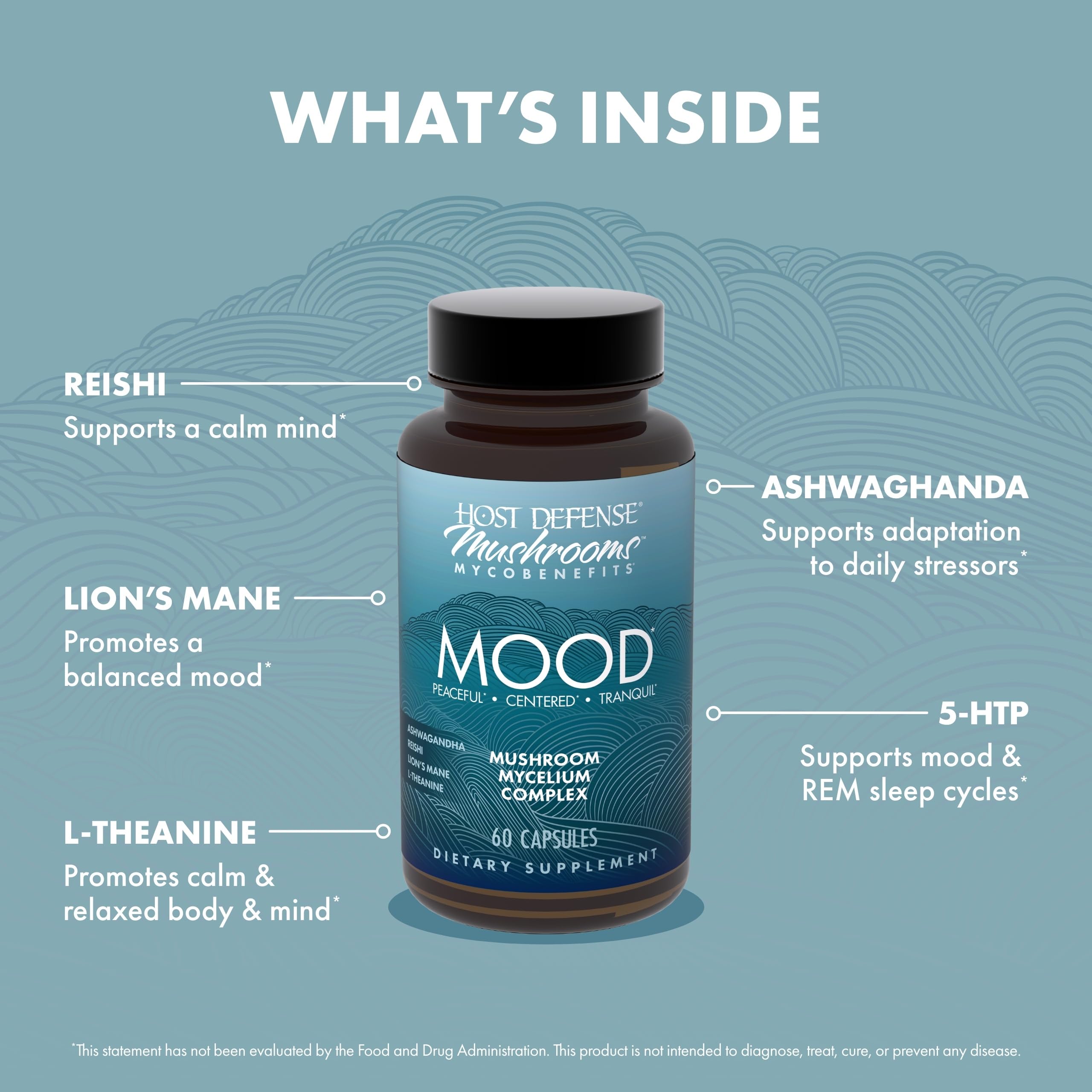 Host Defense MycoBenefits Mood lifestyle scene conveys calm moments after work.