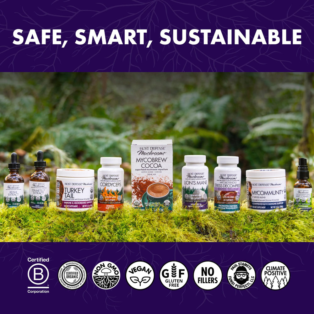 Host Defense MycoBotanicals Immune Powder jar on shelf ready for daily routine.