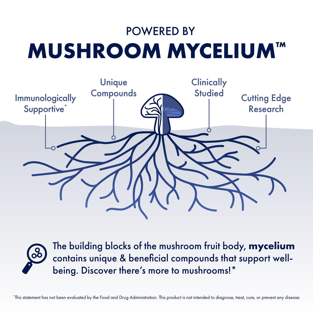 Host Defense MycoBotanicals Immune Powder blends into a smoothie for tasty daily immune support.