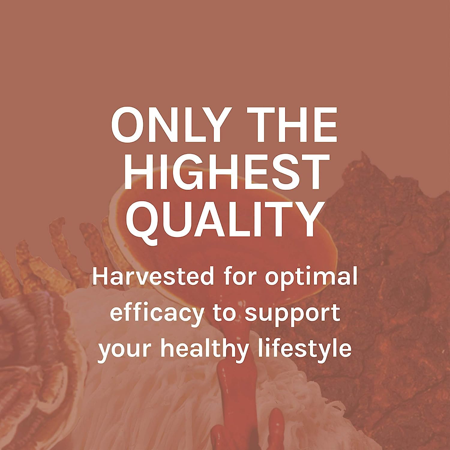 Host Defense founder Paul Stamets story; organic and trusted.