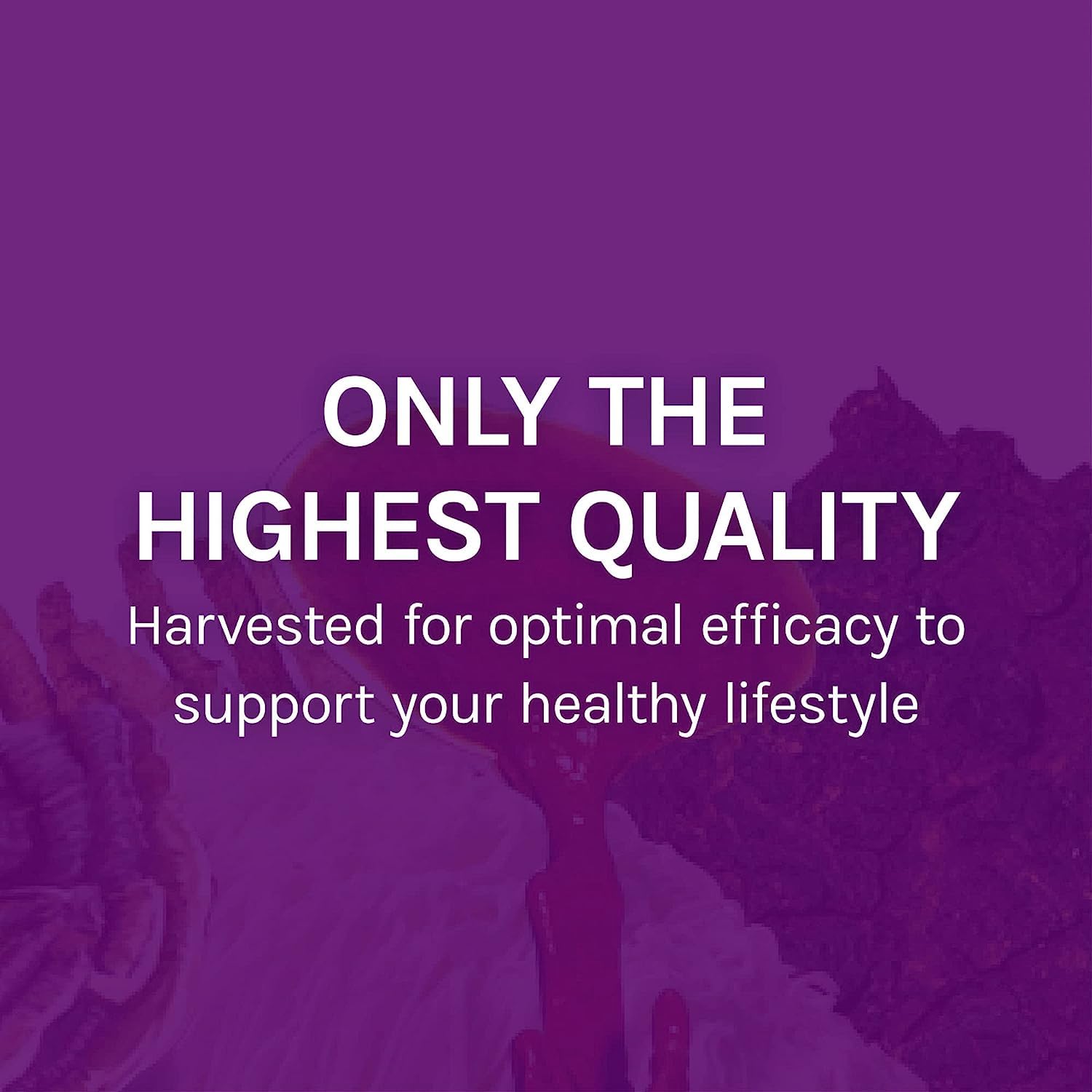 Full dropper dosage guidance for Host Defense MyCommunity Extract