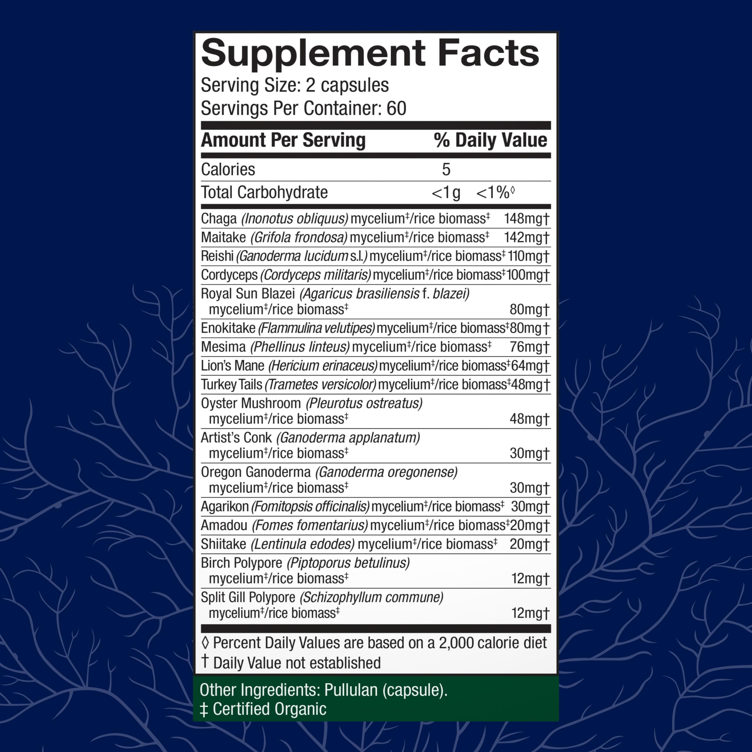 Illustration of the 17-species blend including Lion’s Mane and Reishi.