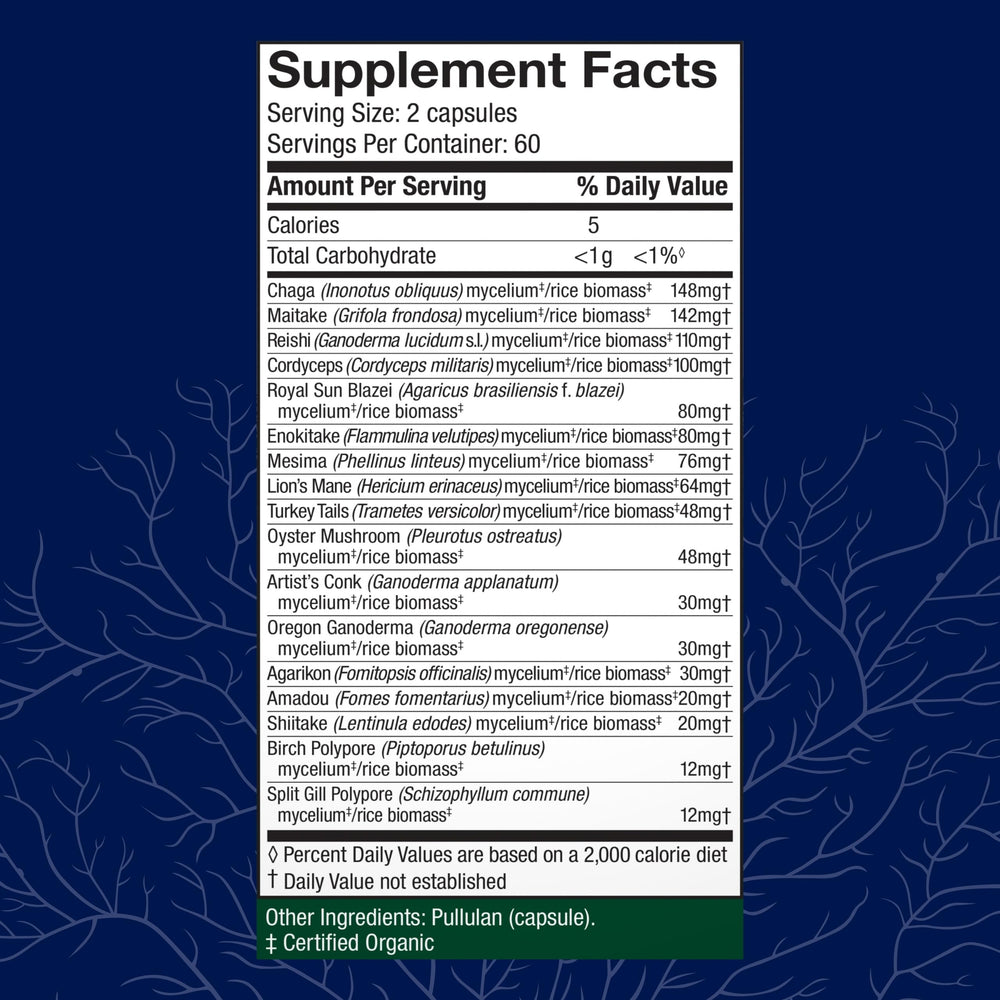 Illustration of the 17-species blend including Lion’s Mane and Reishi.