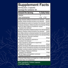 Illustration of the 17-species blend including Lion’s Mane and Reishi.