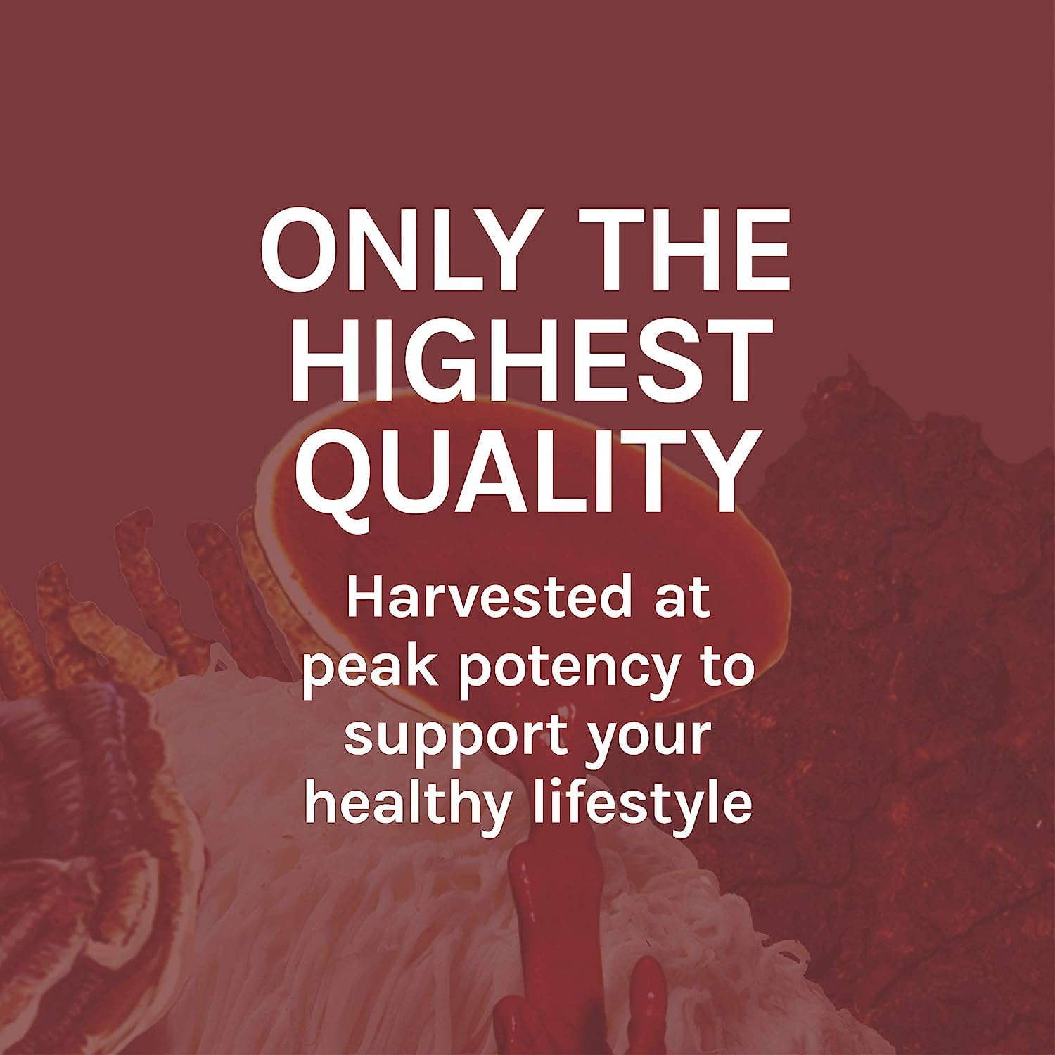 Host Defense Reishi extract USA-grown icon emphasizes domestic production.