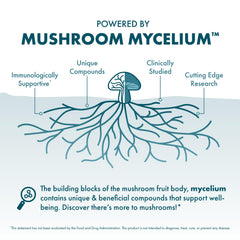 Close-up of Reishi mushroom component from the Host Defense blend for calm support.