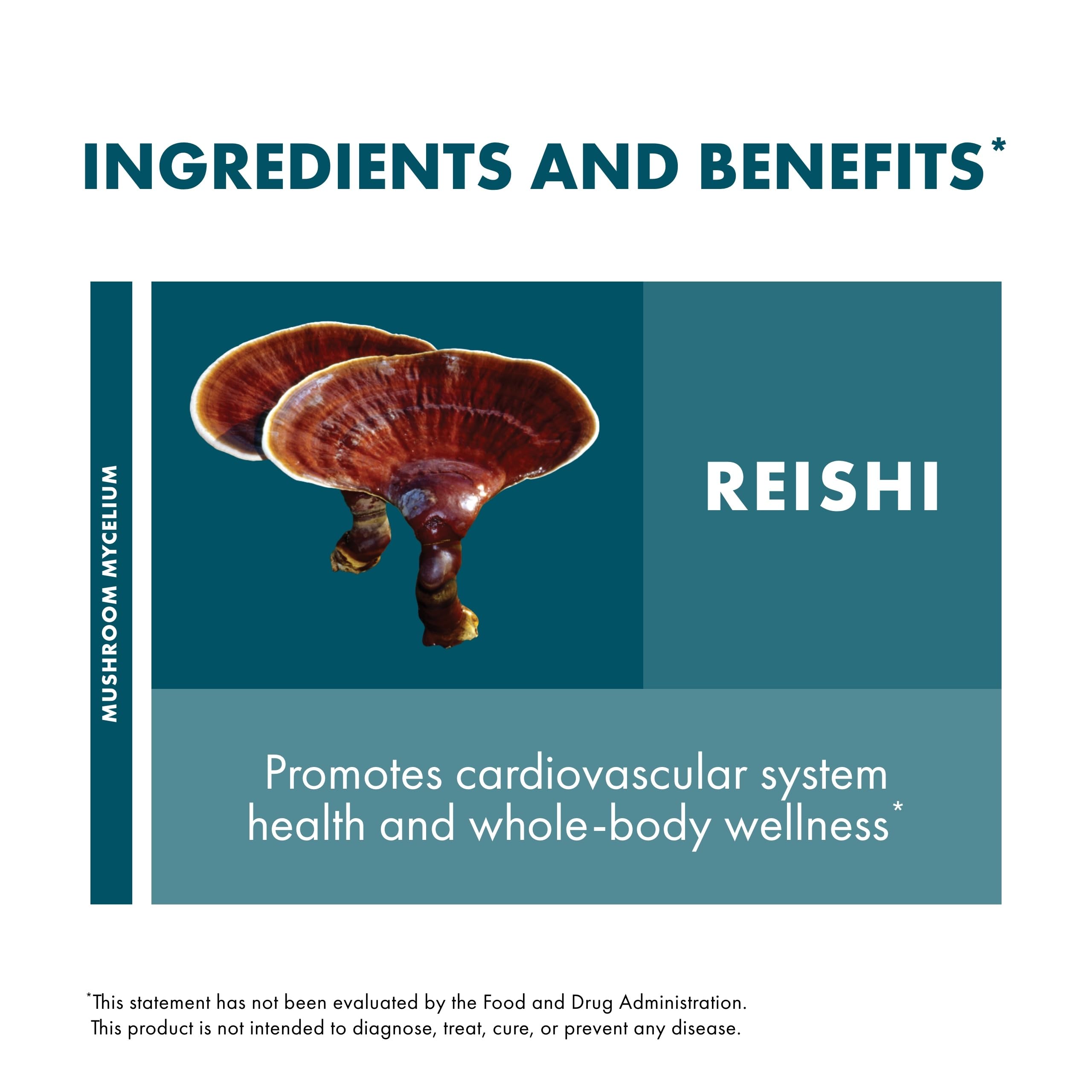 Close-up of Host Defense Reishi Powder texture for smooth mixing.