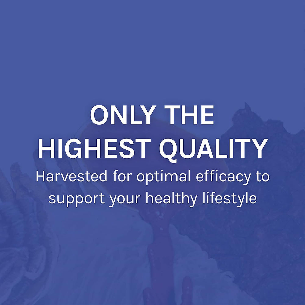 Host Defense Stamets 7 extract Maitake strengthens everyday immune awareness