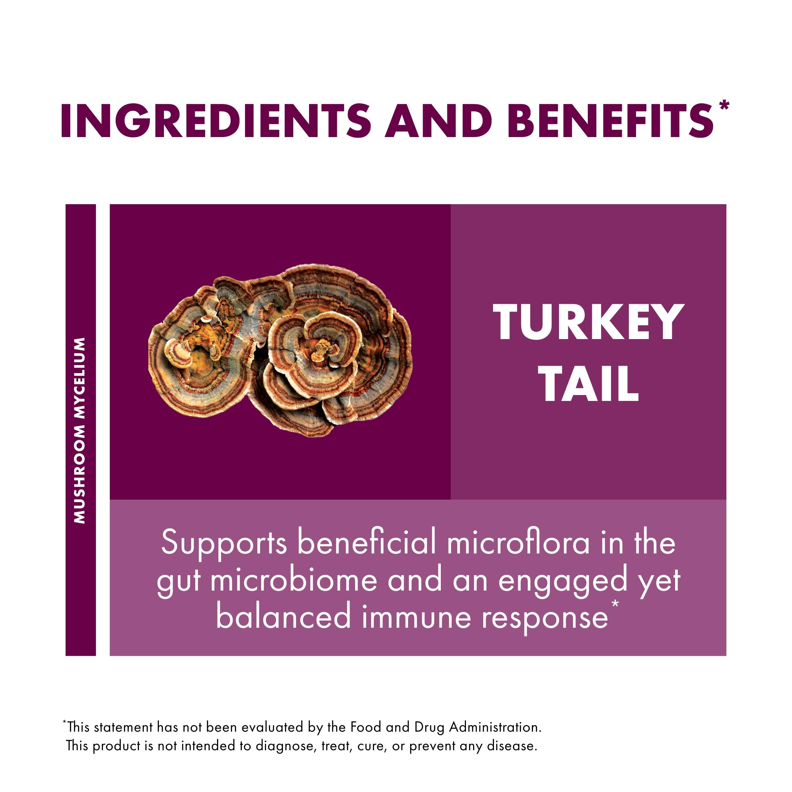 Host Defense Turkey Tail powder container on kitchen counter for daily wellness routine
