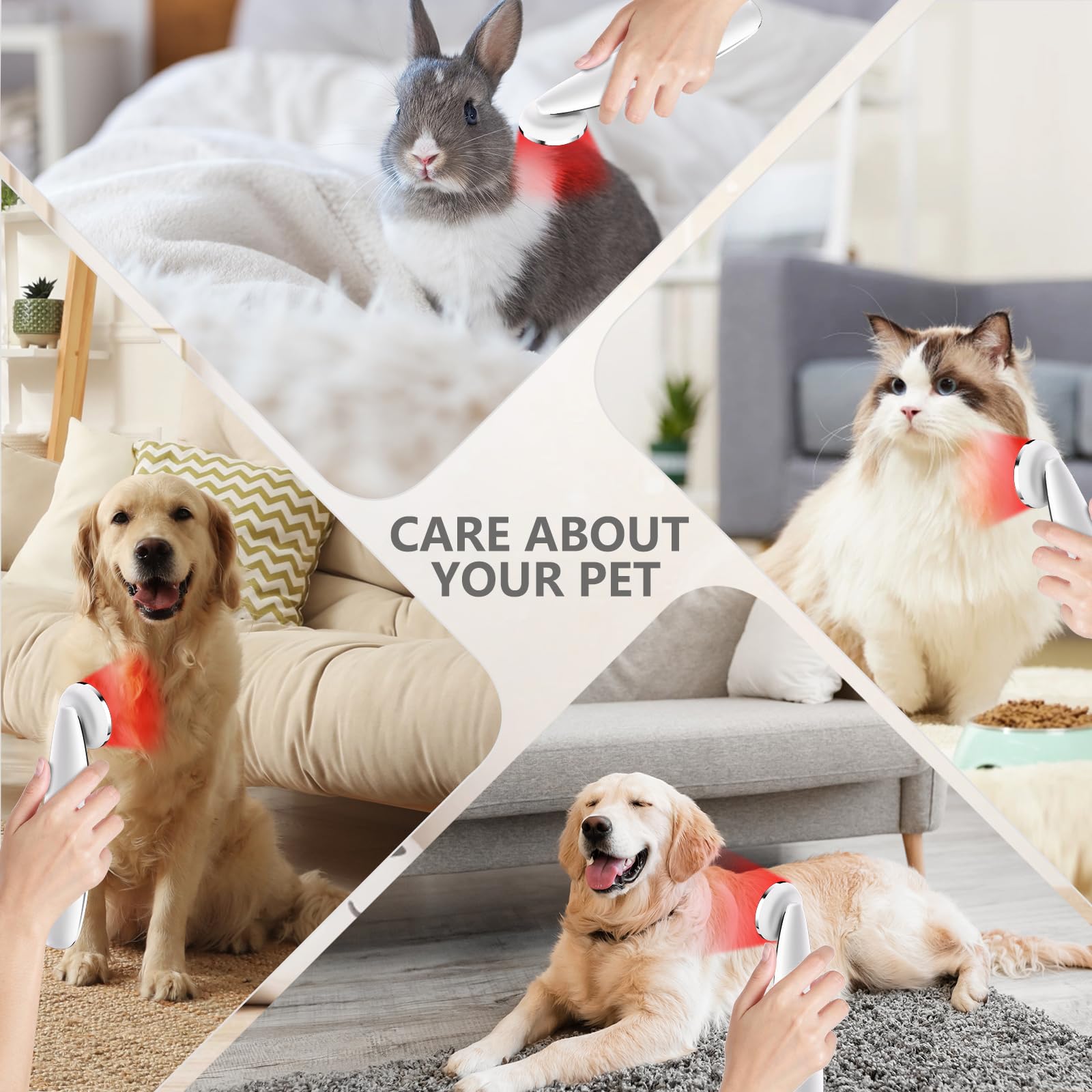 Hottoerak device beside a small pet indicating pet-friendly therapy