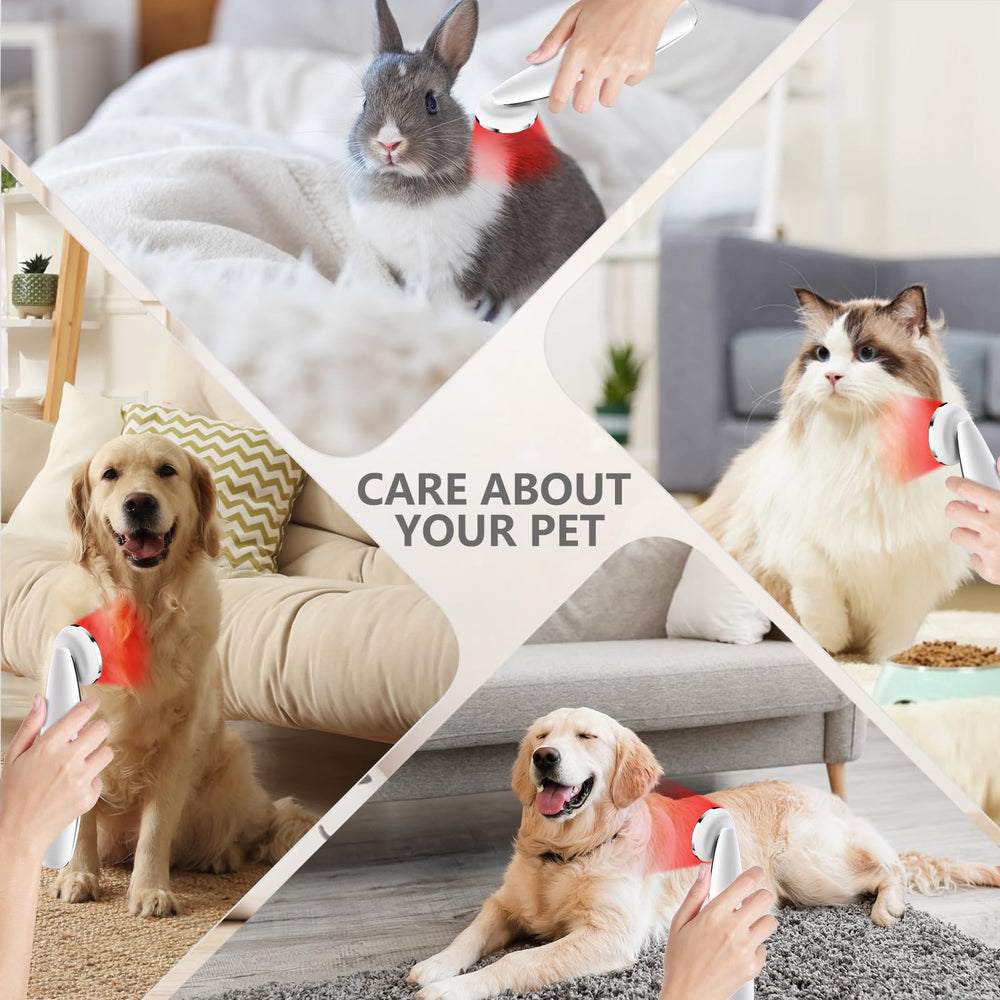 Hottoerak device beside a small pet indicating pet-friendly therapy