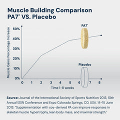 Close-up of HPN PA7 tablets highlighting convenient daily dosing for workouts.