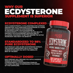 Huge Supplements Ecdysterone 1000mg dosage highlights strong daily intake for training.