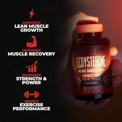 Huge Supplements Ecdysterone absorption technology visual indicates improved bioavailability.