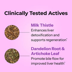 Hum dandelion root and artichoke extract visual showcasing antioxidant ingredients.