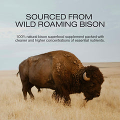 Human Nature bison liver capsules on packaging illustrate nutrient-dense profile for daily vitality