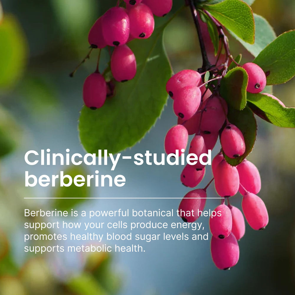 Humann SuperBerine olive leaf extract panel suggesting added antioxidant support