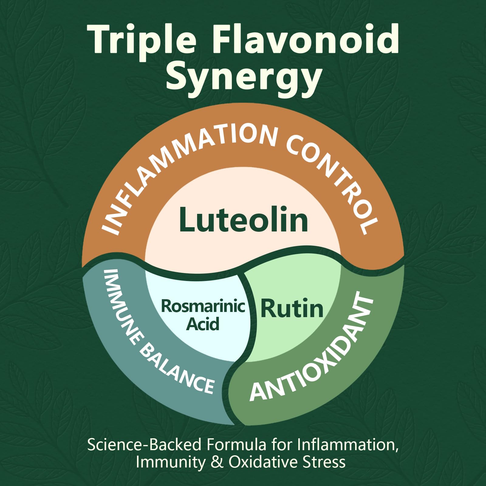 HyberVive Perilla leaf extract component visual emphasizes antioxidant support.
